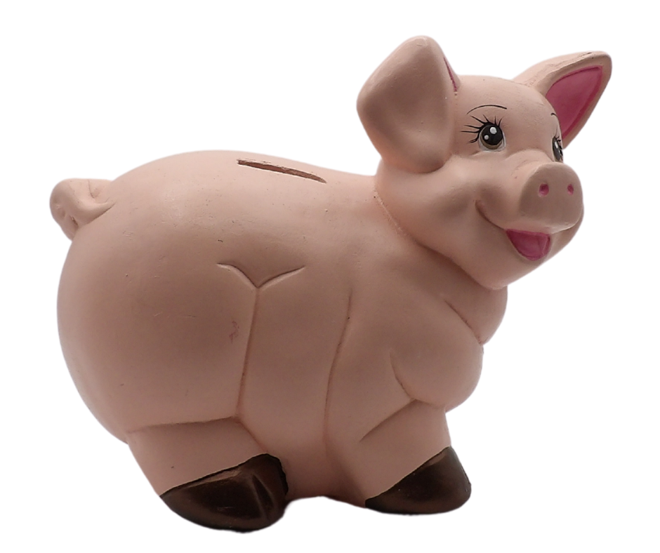 Alcancía de Yeso - Marranita