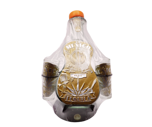 Botella Guitarra Herreria